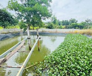7 Cần bán gấp nhà, đất, vườn 2715m2 - đối diện KCN Đất Đỏ, gần biển, chợ, trường học