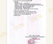 3 Đất lớn phước lâm, cần giuộc   gần tp.hcm, pháp lý chuẩn