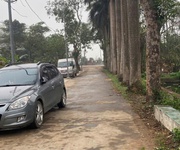 1 Chính chủ bán đất đấu giá thôn đường yên-thư lâm-đông anh