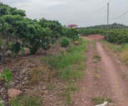 Chính chủ cần bán lô đất thổ cư tại lục nam - bắc giang