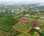 Chính chủ bán lô đất đẹp 26000m2 tại phường Lộc Phát, Bảo Lộc, Lâm Đồng