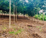 2 Bán gấp 22015m2 đất xã Tân phước-Đồng Phú, 150m Mặt tiền, ô tô tới đất, giá 16,5 tỷ