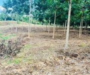 4 Bán gấp 22015m2 đất xã Tân phước-Đồng Phú, 150m Mặt tiền, ô tô tới đất, giá 16,5 tỷ