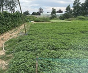 3 Chủ kẹt tiền cần bán gấp 9 lô liền lề giá 11,5ty thương lượng