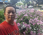 3 Đất vàng 80m    phố tây an thượng 6.5 tỷ