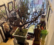 1 Cơ hội vàng   nhà phố trung liệt   cực hiếm - ô tô đỗ cửa   kinh doanh đỉnh cao - 53x5t