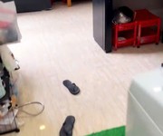 1 Cho thuê homestay nguyên căn   p.8, đà lạt và nhà nguyên căn   p.3, ngay ngã 3 triệu việt dương