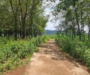 Bán mãnh đất gần 44000m2 có cao su non trên đất, hơn 100m Mặt tiền, 2 mt trước sau