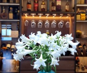 4 Cho thuê căn hộ cao cấp   liễu giai tower, ba đình