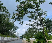 Phước hòa - phường tân phước   tp.hcm  sáp nhập