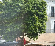 2 Shophouse vừa ở vừa kinh doanh rẻ nhất vinhomes ocean park 1, hà nội. mtg