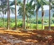 3 Bán 20.000 m2 đất tại trung tâm xã phú cát- quốc oai- hà nội 3 Bán 20.000 m2 đất tại trung tâm xã phú cát- quốc oai- hà nội