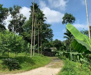 1 Siêu phẩm đất vườn 2 mặt tiền tại liên sơn, lương sơn, hoà bình 1 Siêu phẩm đất vườn 2 mặt tiền tại liên sơn, lương sơn, hoà bình