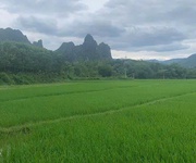 4 Siêu phẩm đất vườn 2 mặt tiền tại liên sơn, lương sơn, hoà bình 4 Siêu phẩm đất vườn 2 mặt tiền tại liên sơn, lương sơn, hoà bình