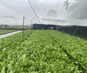 2 Củ chi: bán gấp 2666m đất ful thổ cư đường hồ văn tắng, shr, giá tốt 54 tỷ. 2 Củ chi: bán gấp 2666m đất ful thổ cư đường hồ văn tắng, shr, giá tốt 54 tỷ.