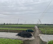 1 Củ chi: bán gấp 2666m  đất  ful thổ cư đường hồ văn tắng, shr, giá tốt 54 tỷ. 1 Củ chi: bán gấp 2666m  đất  ful thổ cư đường hồ văn tắng, shr, giá tốt 54 tỷ.