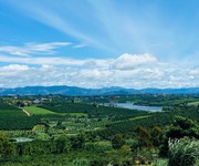 1 Deal  siêu tốt view hồ phúc thọ-lâm hà dt 1000m2 sẵn 100m2 thổ cư chỉ 850tr