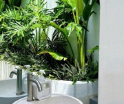 3 Sang nhượng quán cà phê   ngay trung tâm ga hải phòng