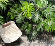 4 Sang nhượng quán cà phê   ngay trung tâm ga hải phòng