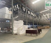 4 Cho Thuê Nhà Xưởng Diện Tích 8.900m2 Có Sẵn Dây Chuyền Sản Xuất ở Tân Vĩnh Hiệp,Tân Uyên, BD.