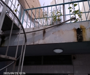 10 Ký túc xá/phòng trọ Quận Tân Bình giá rẻ Bao điện nước, sạc được xe điện, có khắp HCM 10 Ký túc xá/phòng trọ Quận Tân Bình giá rẻ Bao điện nước, sạc được xe điện, có khắp HCM