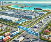 3 Cơ hội đầu tư sinh lãi vốn tại biển quất lâm nam định  ninh bình .