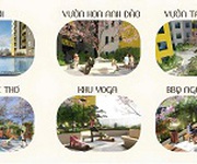 Bcons asihi   khởi nguồn cuộc sống an nhiên