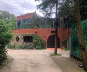 1 Đất đẹp - giá tốt - vị trí đắc địa tại minh phú, sóc sơn, hà nội   giờ xã mới là lâm trường, kim