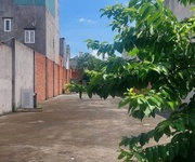 Đất lớn mt trung mỹ, tân xuân, hóc môn dt khủng 500m    chỉ 17 tỷ