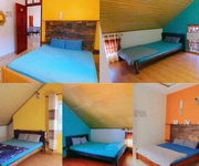 4 Cho thuê homestay phan chu trinh phường 9 tp đà lạt