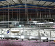 3 Bán nhà xưởng   KCN Trảng Bàng, Tây Ninh