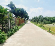4 Bán 20m x 43m đất thổ cư tân phước - tx lagi giá rẻ nhất 3.75tr/m2