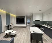 1 Cho thuê căn hộ cao cấp Waterfront City, 2 p.ngủ rộng  90m2 .