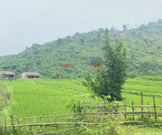 2 Siêu phẩm 460m tại lương sơn-hòa bình