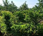 1 2ha2 sông soài pm nay tân thành hcm giá chỉ 1tr/mv sẳn nhà vườn trái cây