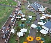 Bán đất đẹp sun valley   trung tâm tp. bảo lộc   sổ đỏ riêng