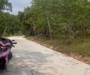 Chính chủ cần bán đất giá rẻ   chỉ 650 triệu/sào-  lộc ninh - bình phước