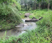 Bán 1000m2 đất giáp suối Ninh Hoà LH:0868750144 Lê Dân Bán 1000m2 đất giáp suối Ninh Hoà LH:0868750144 Lê Dân