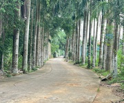 2 CƠ HỘI MUA RỂ HƠN TT vài giá  cho suất booking sớm cho 100m full ONT tại Hòa Lạc 2 CƠ HỘI MUA RỂ HƠN TT vài giá  cho suất booking sớm cho 100m full ONT tại Hòa Lạc