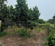 Chính chủ cần bán đất chính chủ   xã thanh an,huyện  hớn quản, bình phước