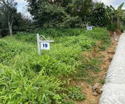 2 Em có đất thổ cư, kế bên quốc lộ 55 ở Bảo Lộc Có sẵn vườn sầu thái và bơ