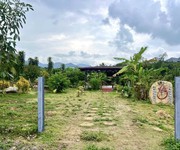 5 Em có đất thổ cư, kế bên quốc lộ 55 ở Bảo Lộc Có sẵn vườn sầu thái và bơ