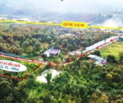 Đất đẹp bảo lâm 3-lâm đồng thổ cư 100 xây ở liền đường bêtông cách quốc lộ 55 chỉ 200m giá chỉ