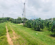 Bán 1825m2 đất thôn ba đăng - tân hải - lagi giá rẻ nhất 986k/m2
