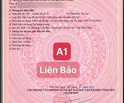 5 Bán đất trục chính nhà văn hoá Gò Dung, Liên Bảo, Vĩnh Yên, Vĩnh Phúc. LH: 098.991.6263