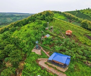Chính chủ cần bán gấp mảnh vườn đồi Giá Tỵ view Hồ Trị An cực đẹp như đồi  Đà Lạt  tại Định Quán