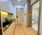 5 Cho thuê chung cư cao cấp Sentosa, 1 ngủ Studio  31m2 .