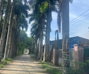 2 Duy nhất 1 lô góc 100m    giá chỉ nhỉnh 30tr/m  ngay trục chính đồng trạng