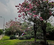 3 Căn hộ giá tốt dưới 2 tỷ tại hồ chí minh setia edenia bạn không nên bỏ lỡ 3 Căn hộ giá tốt dưới 2 tỷ tại hồ chí minh setia edenia bạn không nên bỏ lỡ