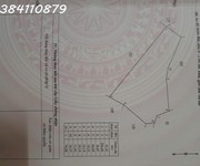 2 Bán 9 héc cao su   điều   thực tế gần 10 héc   bù đăng, bp, 5,8 tỷ